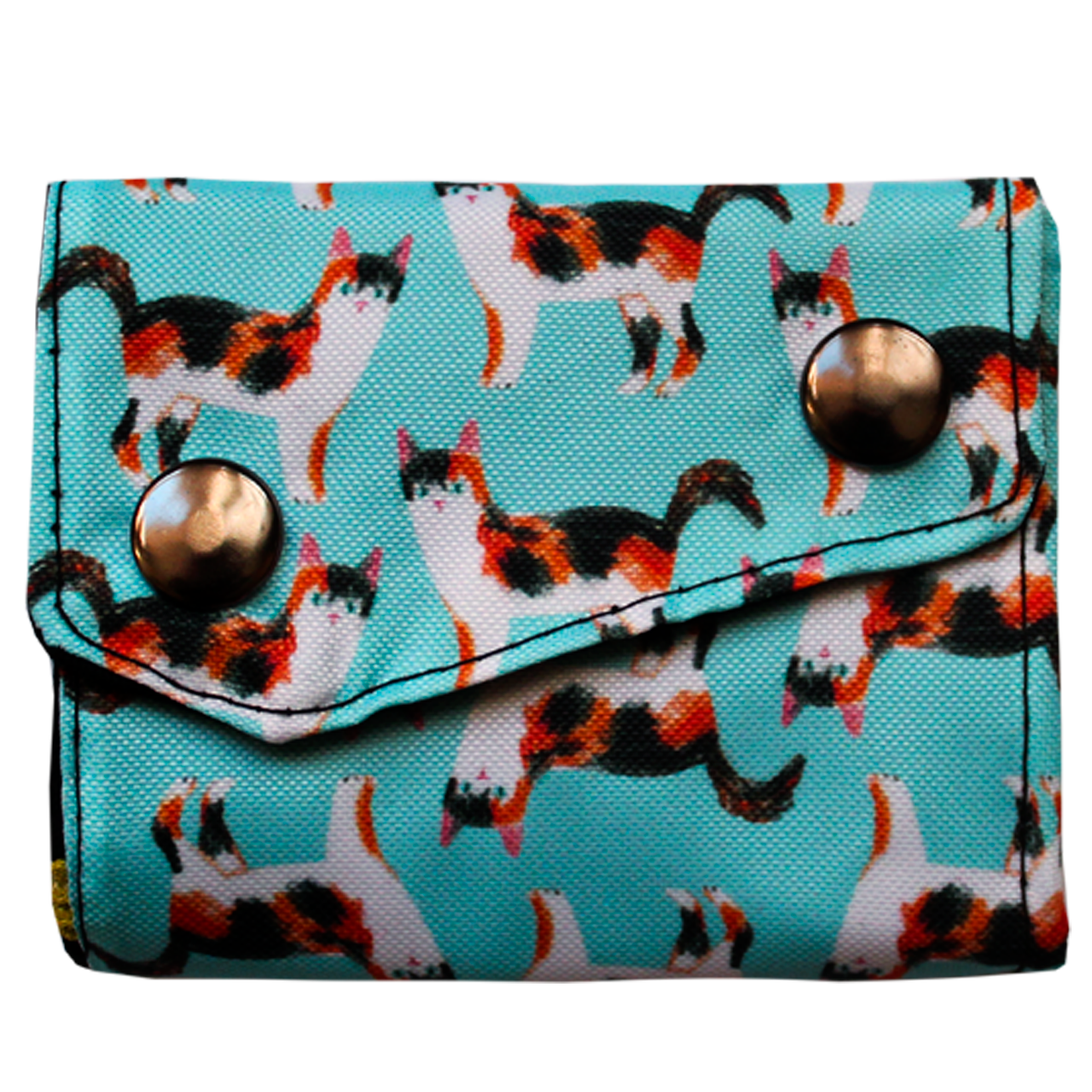 Pack Cat Turquesa (Disponible solo web)