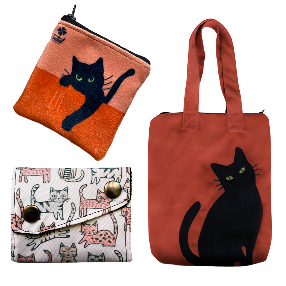 Pack Cat Naranja (Disponible solo web)